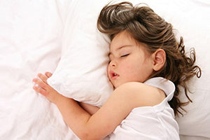 Dreamtown Kids Toddler Pillow With Pillowcase 14x19 White