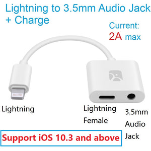 Lightning Audio Charge Adapter for iPhone X/8 Plus, iPad, iPod, Earphone Adapter 2 in 1, 12cm/5inch, Support iOS 10.3 and above