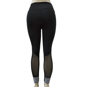 Workout  Yoga Leggings With Striped Ankle